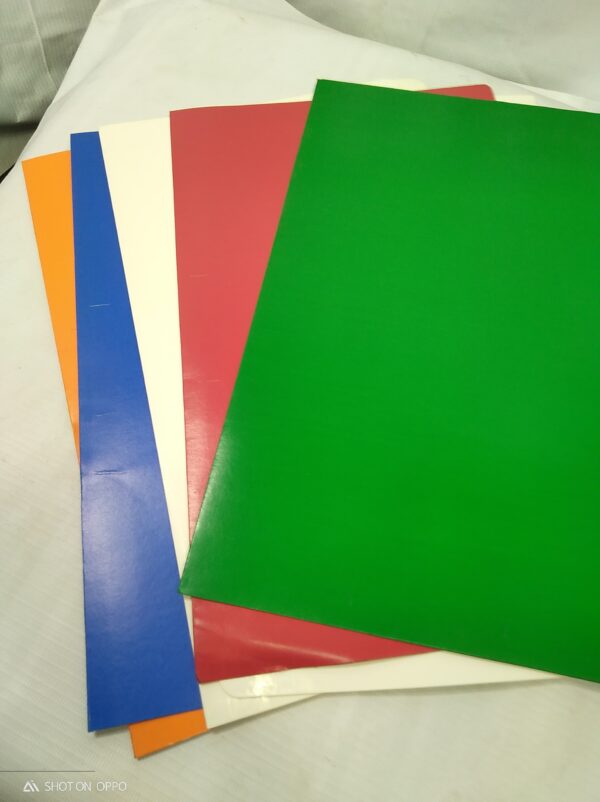 FOLDER COLORED LONG ASSORTED COLOR