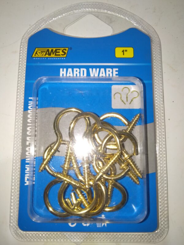HOOKS SCREW SUN AMES
