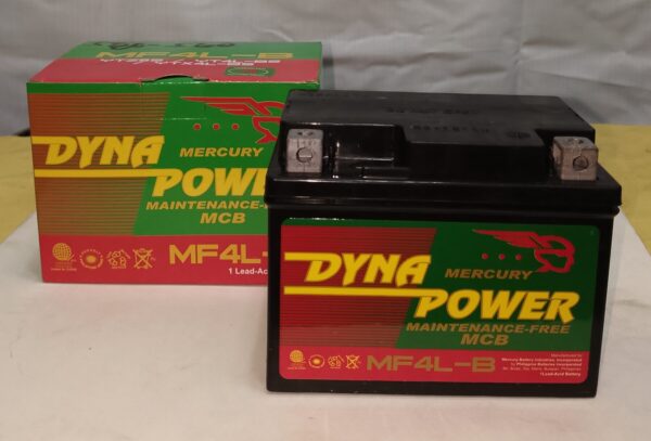 DYNA POWER BATTERY MAINTENACE FREE