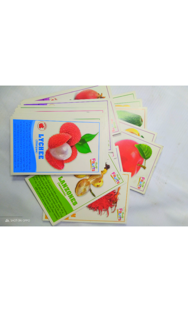 NEWTON FRUITS FLASH CARD FCF-50