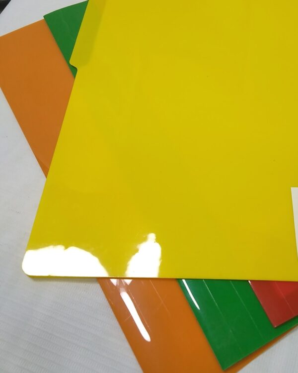 FOLDER PLASTIC BAGA LONG ASSORTED COLOR
