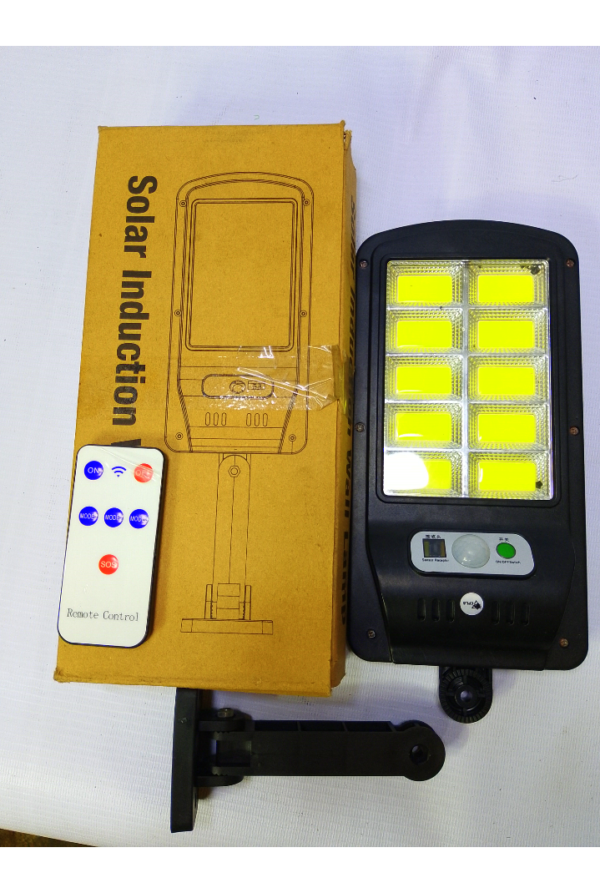 SOLAR INDUCTION WALL LAMP WL200