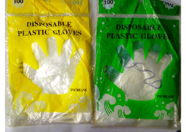 XUEBO DISPOSABLE PLASTIC GLOVES 100PCS LARGE