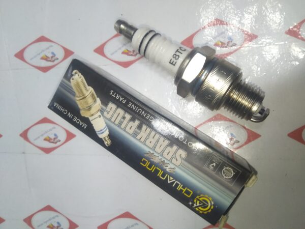 CHUANLING SPARKPLUG E8TC PAMBOAT SHORT