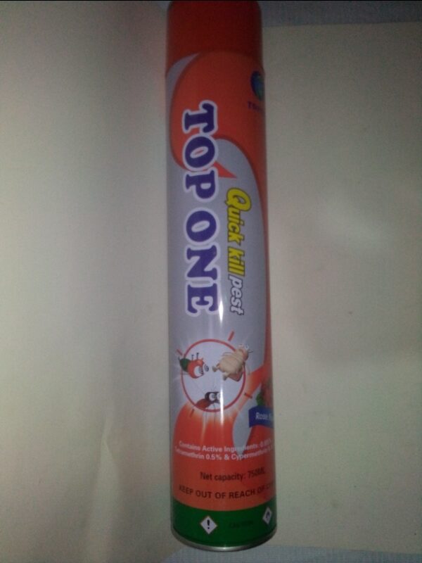TOP ONE AEROSOL INSECTICIDE SPRAY 750ML