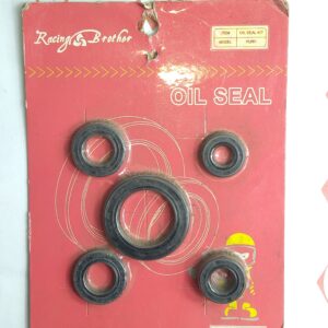 RACING BROTHER OIL SEAL KIT FURY