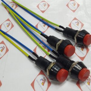 SWITCH PUSH BUTTON WITH WIRE W9146