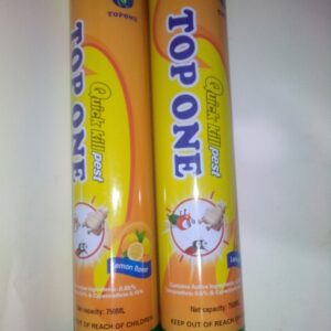 TOPONE AEROSOL INSECTICIDE 21146