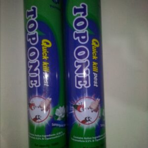 TOPONE AEROSOL INSECTICIDE 750ML