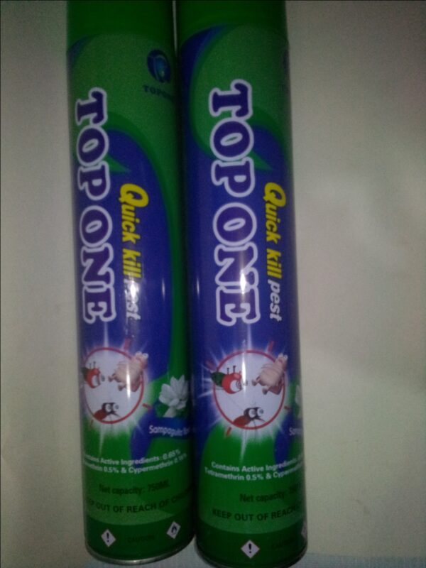 TOPONE AEROSOL INSECTICIDE 750ML