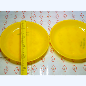 NIKKO WARE PLASTIC PLATE 22CM